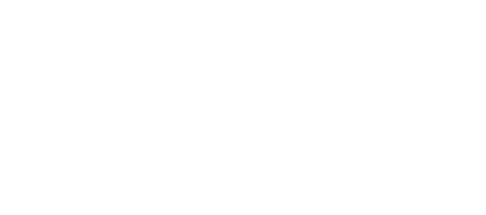 Feyen