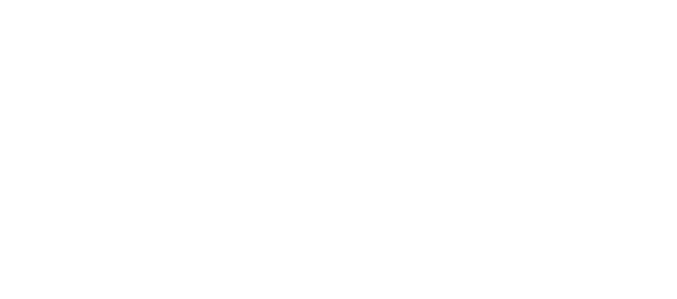 Logicargo