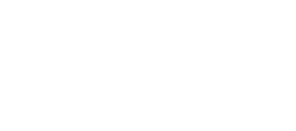 Business Computer Systems