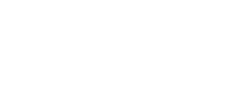 Smarteeva Logo