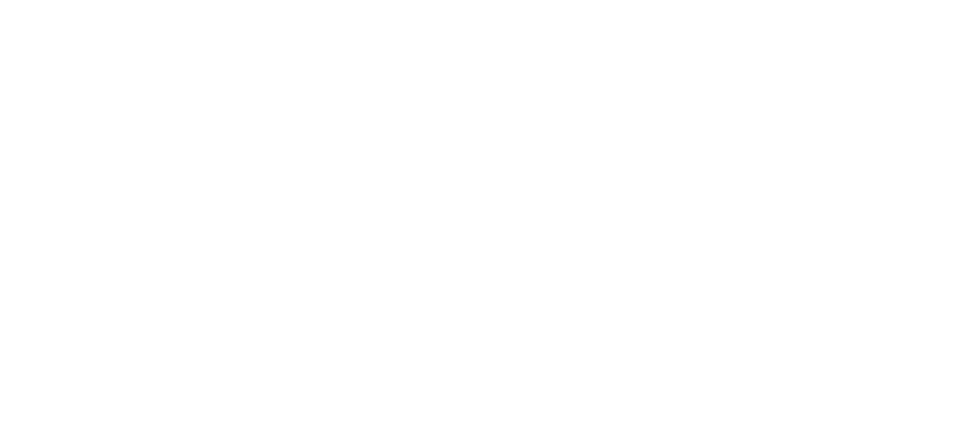 VSP-DATA Logo